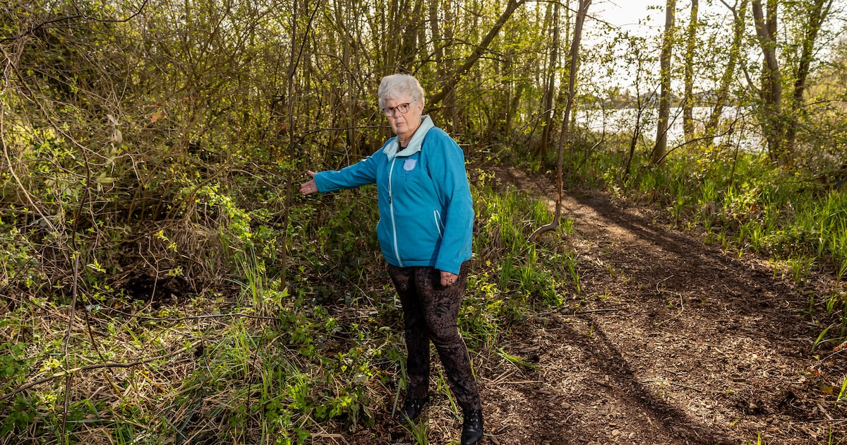 Zwartsluis gaat met bordjes waarschuwen voor moeras, nadat vrouw (70) wegzakte