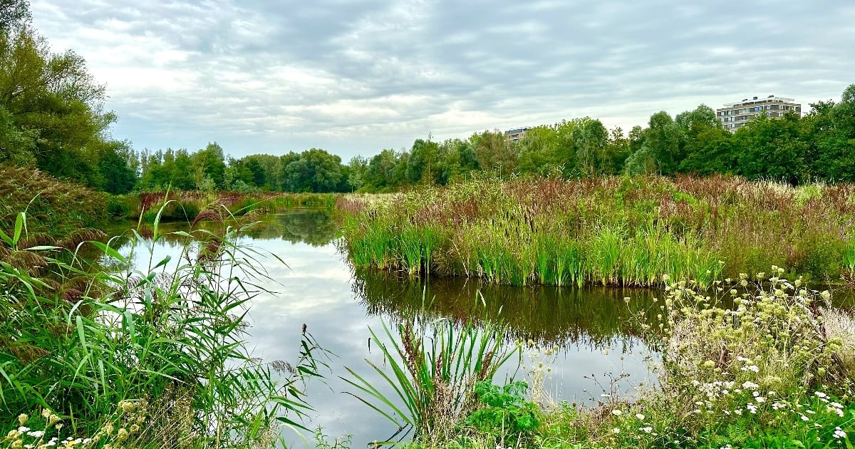 Weekendtips: deze dingen doe je in Vlaardingen (31 juli-2 augustus)