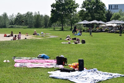Weekend tips: things to do in Haarlem (May 29-31)