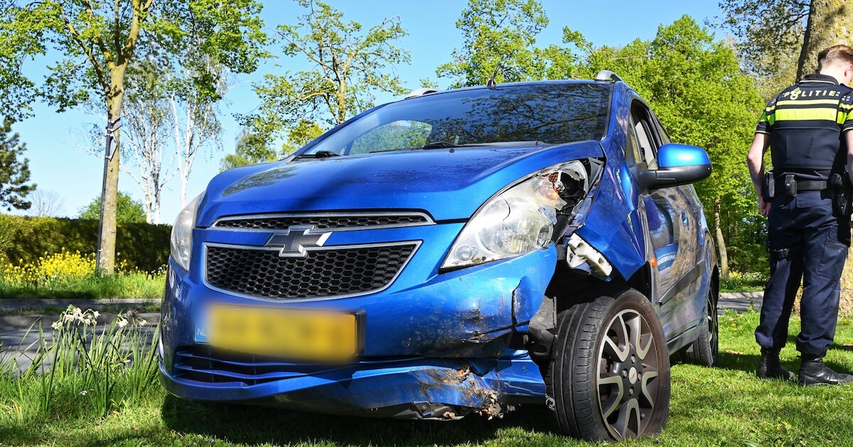 Auto rijdt tegen vluchtheuvel op de Koningin Emmalaan in Leerdam
