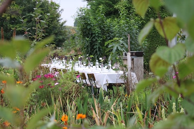 Je eten groeit naast je bord: pop-updiners in tuinderijen rondom Den Haag