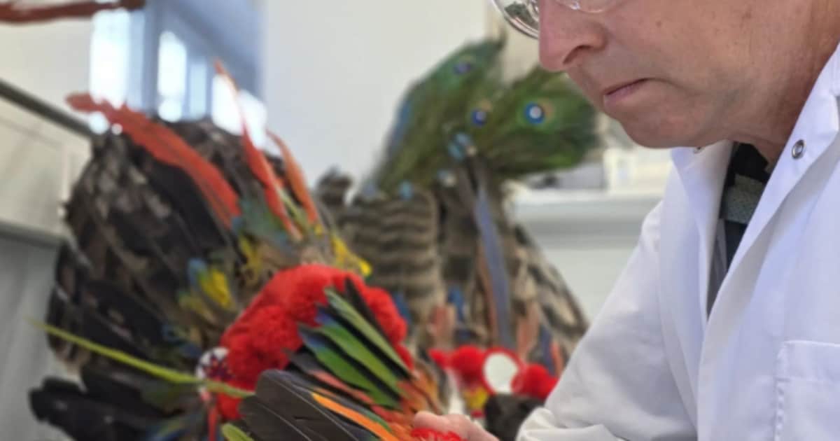 Dierenpark Hoenderdaell en Douane werken samen tegen illegale handel