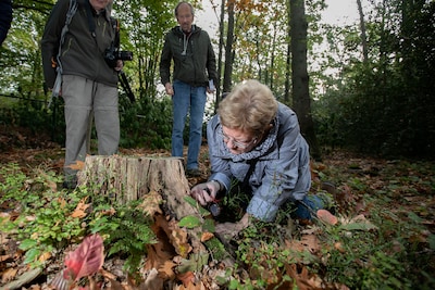 Open dag bij Natuurcentrum De Kievit in Harmelen met paddestoelenexcursie en kabouterpad