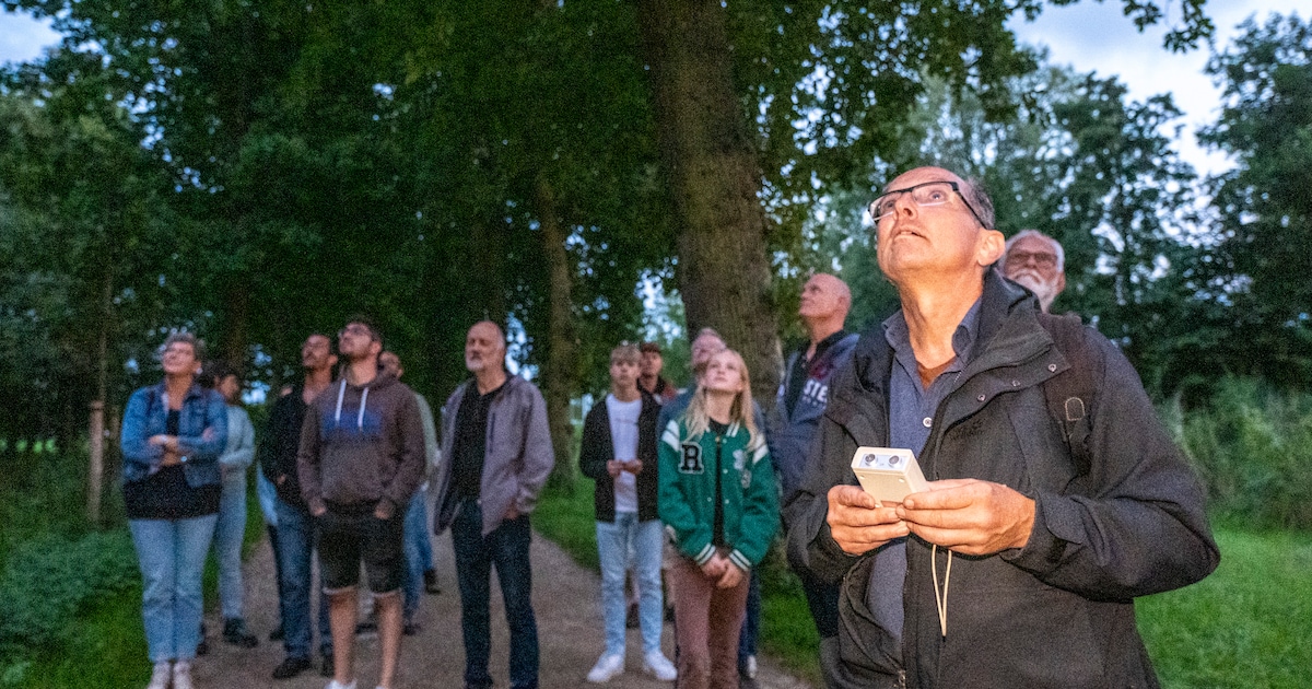 Vleermuizenexcursie in het Schollebos, zolang het droog blijft