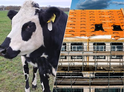 From burning hay bales to stalled construction: why the nitrogen crisis is so explosive