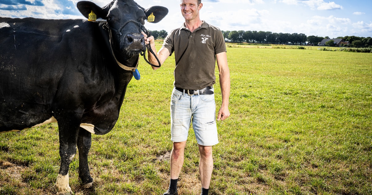 Boer Wouter houdt zijn koeien nauwlettend in de gaten: ‘Er mag geen spettertje poep op zitten’