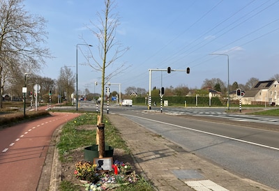 Image related to the article