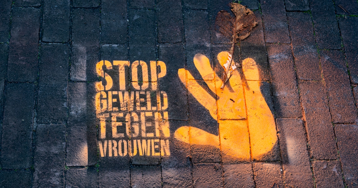 Twee bijeenkomsten over geweld tegen vrouwen in Zeist