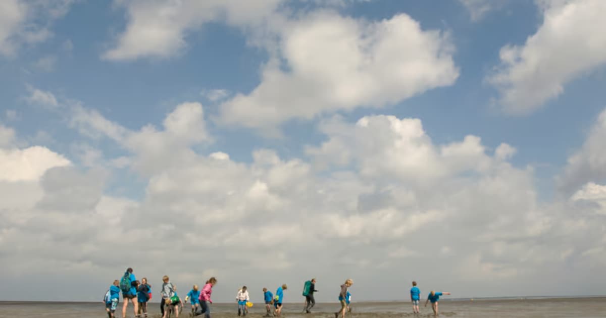 Wadexcursie Schiermonnikoog start woensdagmiddag