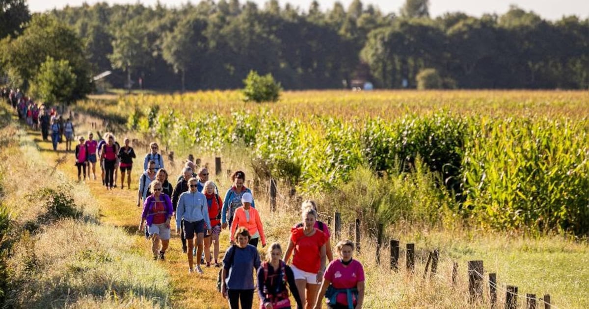 Pink Ribbon Soester Wandelweekend stevent af op een recordeditie: 7000 inschrijvingen