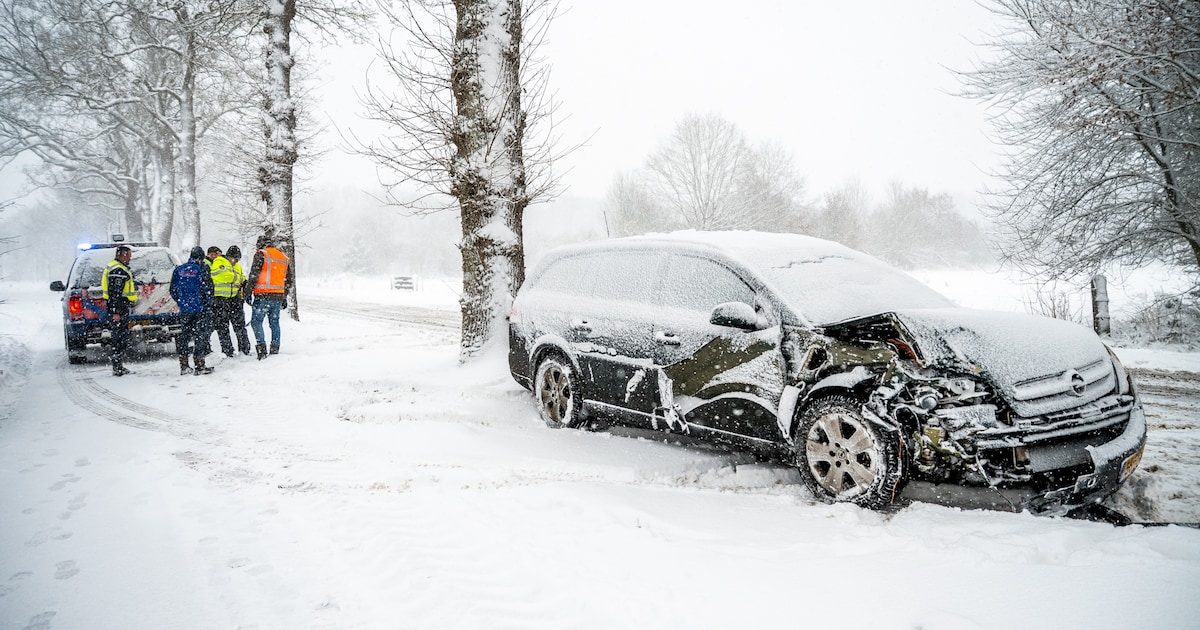 Automobilist raakt van de weg en botst tegen boom in Diever