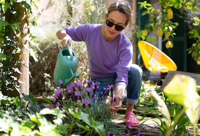 Image related to the article