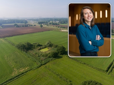 Image related to the article