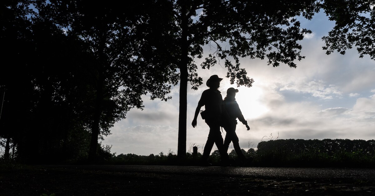 IVN Geldrop organiseert seniorenwandeling in kasteelpark