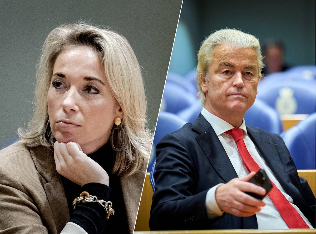 Wilders mag woest zijn op zijn eigen staatssecretaris; haar wegsturen met  hulp van de Kamer lukt niet | Politiek | AD.nl