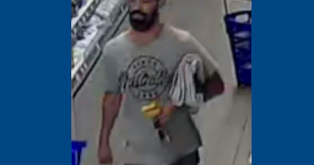 Politie geeft beelden vrij na aanranding Franciscus Romanusweg in Maastricht