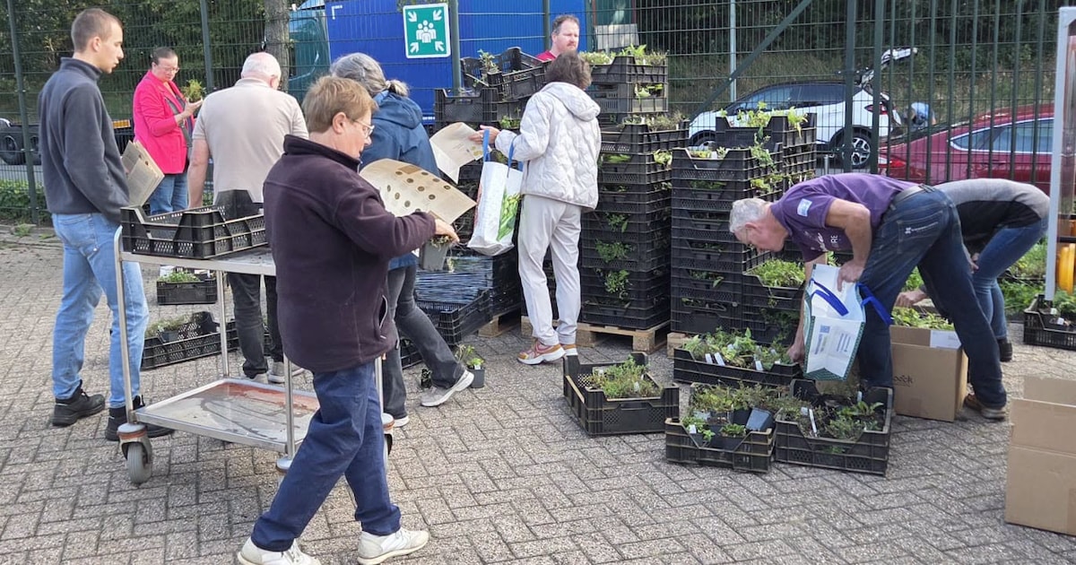 Groen! Inwoners Maasgouw halen gratis plantenpakketten op voor in tuin