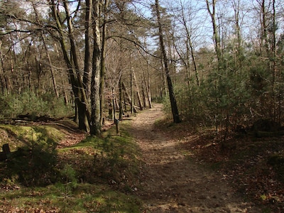 Wandeling met gids door Veluwezoom in maart