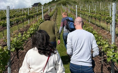 Lekker weg in eigen land: bezoek binnenkort een wijngaard in de buurt van Eindhoven