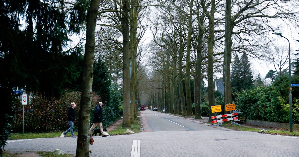 Gezichtslaan in Bilthoven krijgt twee jaar durende facelift: straatstenen in plaats van asfalt en sn