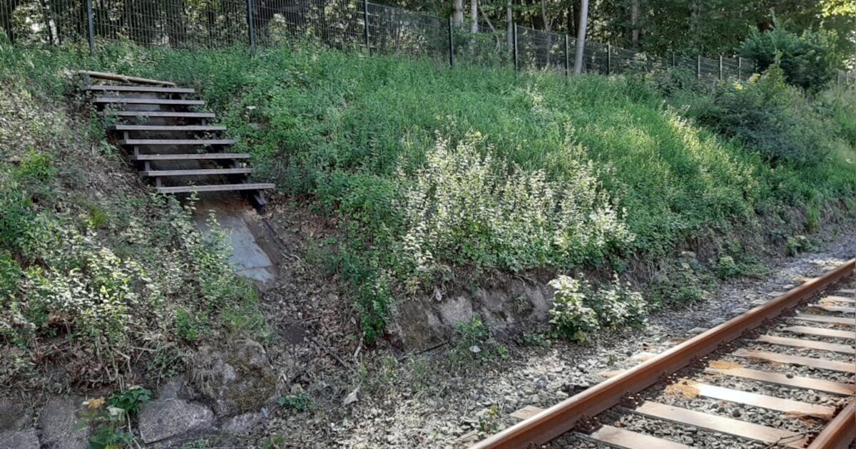Mysterie opgelost: het vreemde trapje van station Overveen