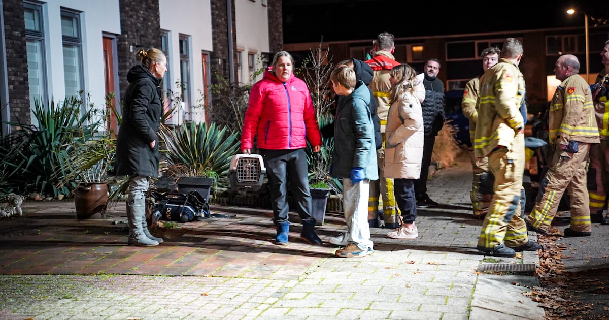 Jacky uit Eerbeek komt thuis en hoort brandalarm afgaan: ‘Ben met stomme kop naar binnen gerend’