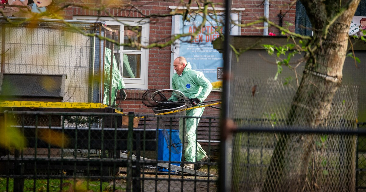 Vogelgriep zorgt voor onrust onder pluimveehouders in Alblasserwaard: ‘Angst dat het jouw bedrijf oo