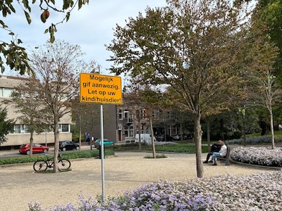 Onderzoek naar mysterieuze dood van drie honden in Schiedam: mogelijk moedwillig vergiftigd