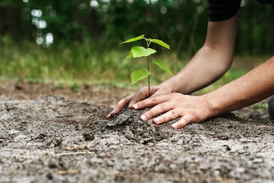Biodiversiteitsavond in Arnhems provinciehuis