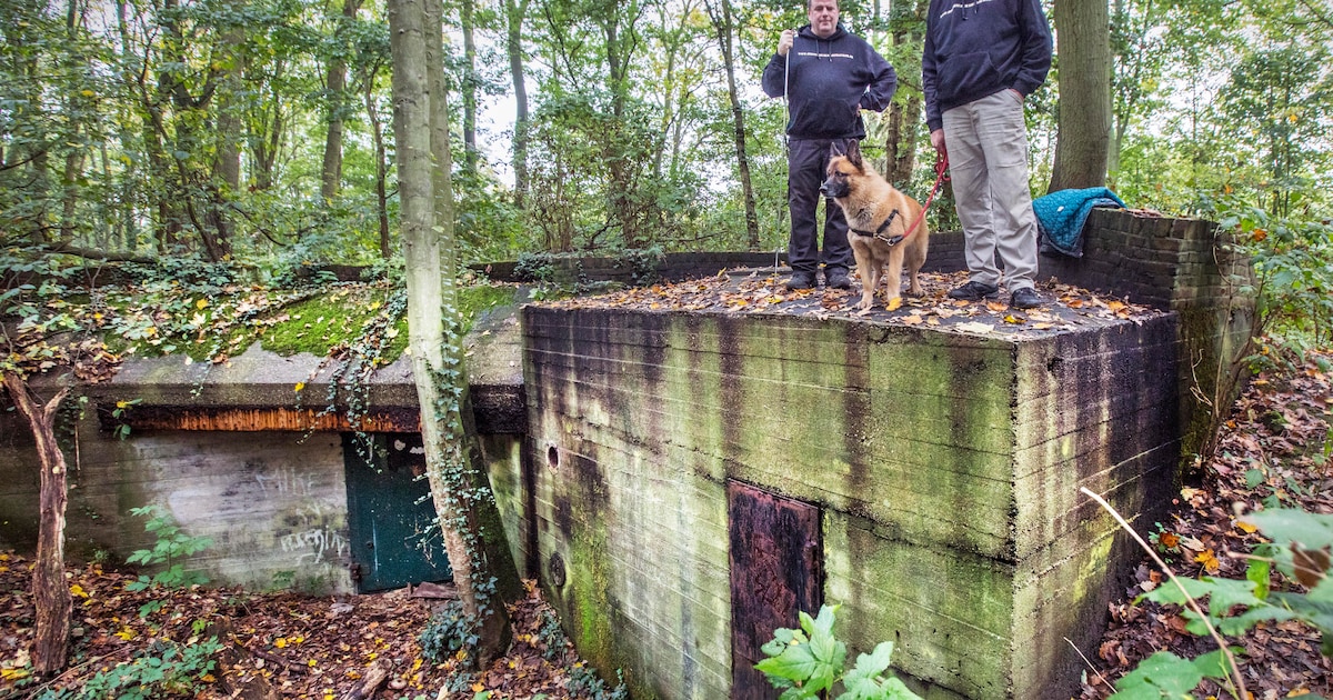Haagse app voor vinden van bunkers is een internationale hit ...
