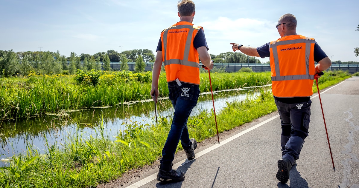 Dijkinspecteurs zoeken weer naar scheuren: ‘Met deze hitte kan het hard gaan’