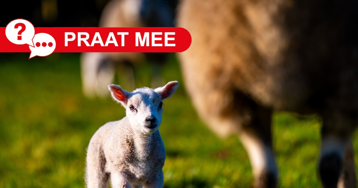 Praat Mee | Waar in IJsselstein geniet jij het meest van de lente?