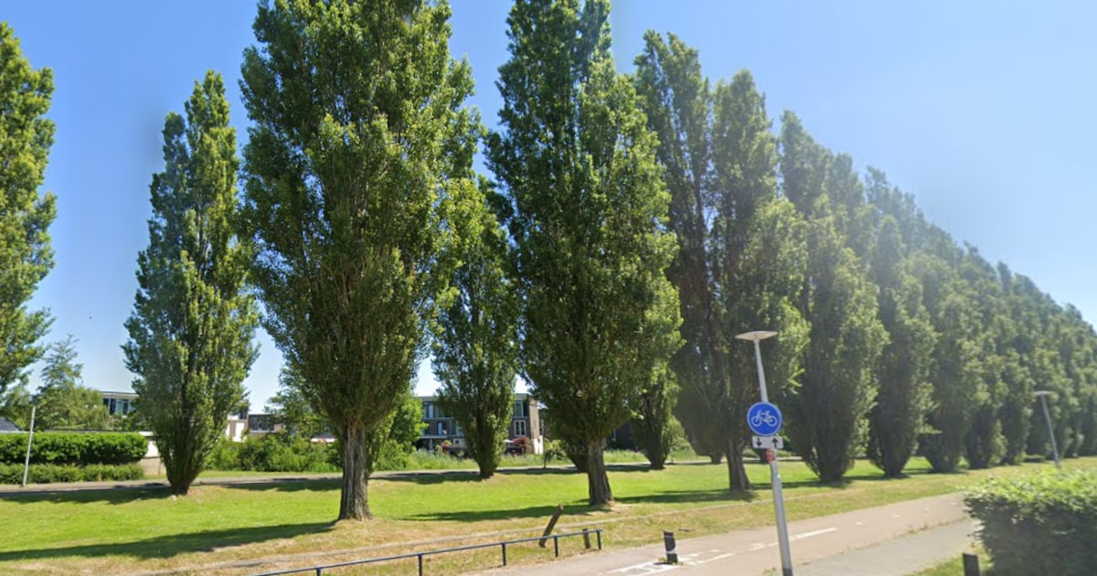 Opnieuw werkzaamheden aan fietspad langs Rijnkennemerlaan: komt er ooit een duurzame oplossing?