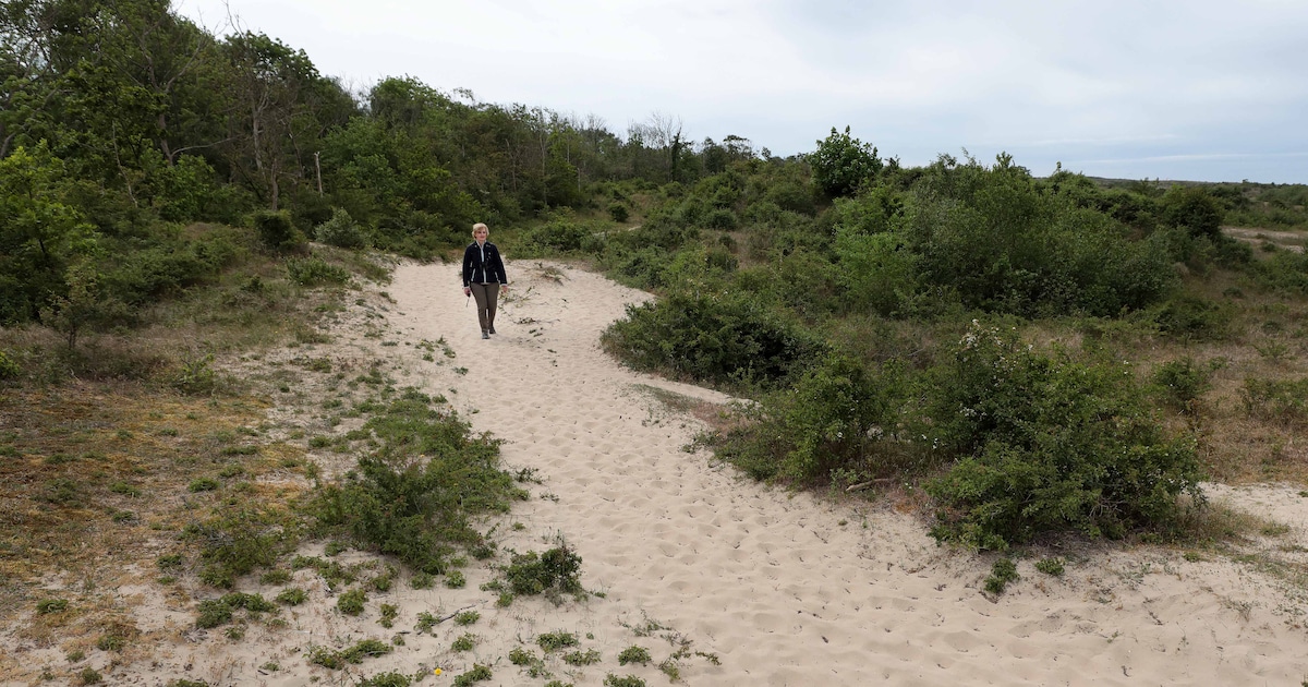 Gratis excursies tijdens Dag van de Duinen in Leiden