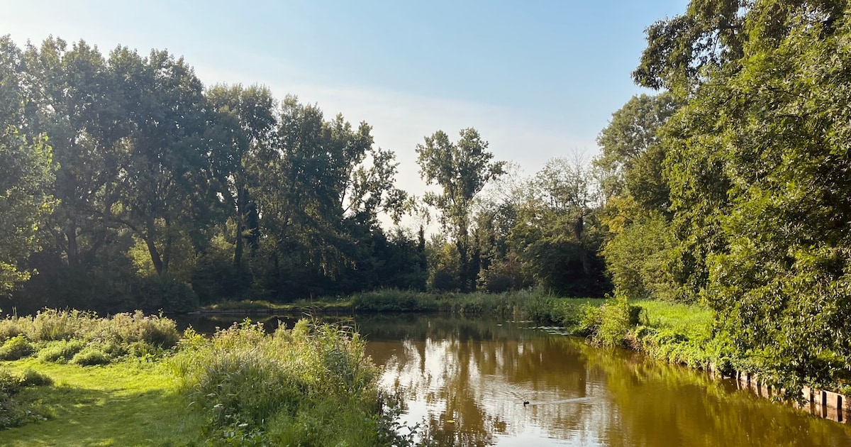 Weekendtips: dit doe je in Schiedam (24 - 26 okt)
