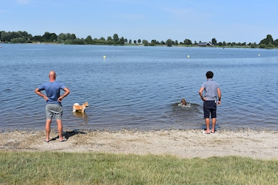 Weekendtips: deze dingen doe je in Zoetermeer (26 - 28 juni)