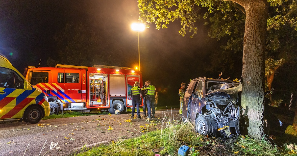 Bestelbus botst tegen boom bij Vinkega, bestuurder gewond