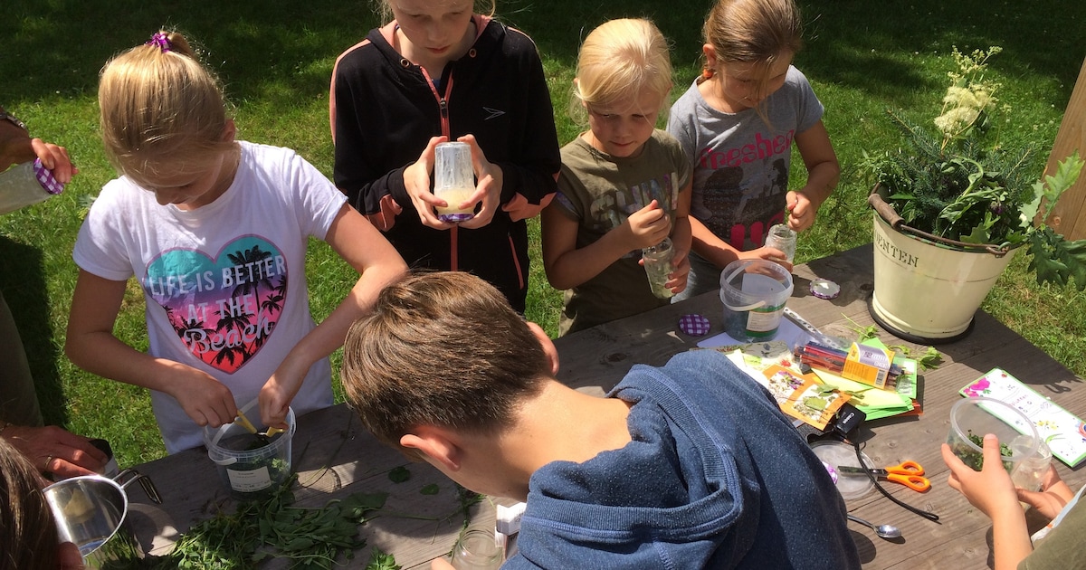 Landschap Overijssel laat kinderen de lente beleven met ontdekkingstocht in Balkbrug