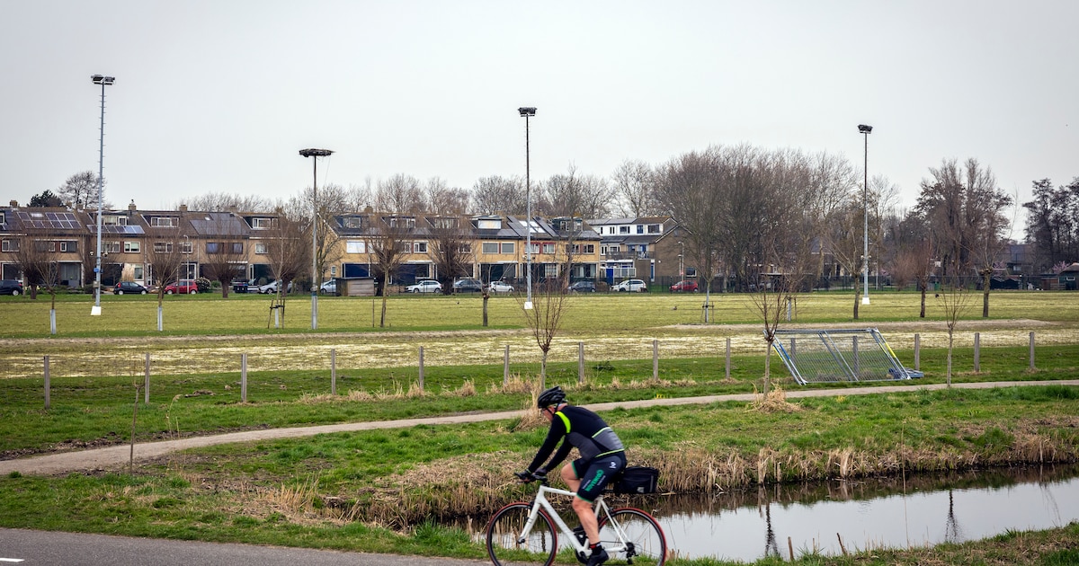 Appartementen tot zes lagen en ‘iets erbij aan randen’: zo groeien dorpen zonder weilanden vol te bo