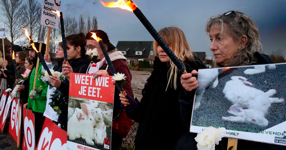 Konijn in Nood: ‘Monddood gemaakt door gemeente Zederik’