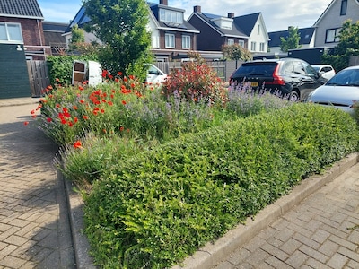 Met een beetje hulp maakte bewoners van gedeeld parkeerterrein een groene oase
