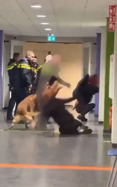 Vrouw die in azc Zeist op de grond werd gegooid door agent laat van zich horen: ‘Ik wilde een vraag stellen’