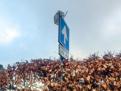 Welke random objecten op onlogische plekken heb jij gezien in Woerden?