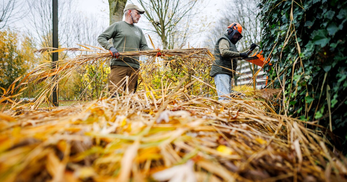 Bokashi-avond in Krimpen: zo maak je snel voeding voor je planten