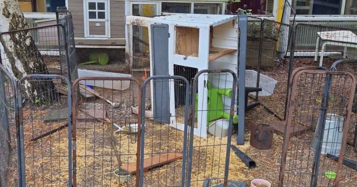 Dierenverblijf bij basisschool 'De Kameleon' in Zwanenburg vernield | Haarlemmermeer