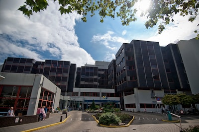 Image related to the article