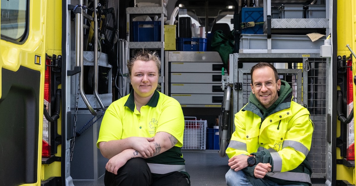 Vriezer vol met dode katten waarvan het baasje onbekend is, dus roept dierenambulance op: ‘Chip je h