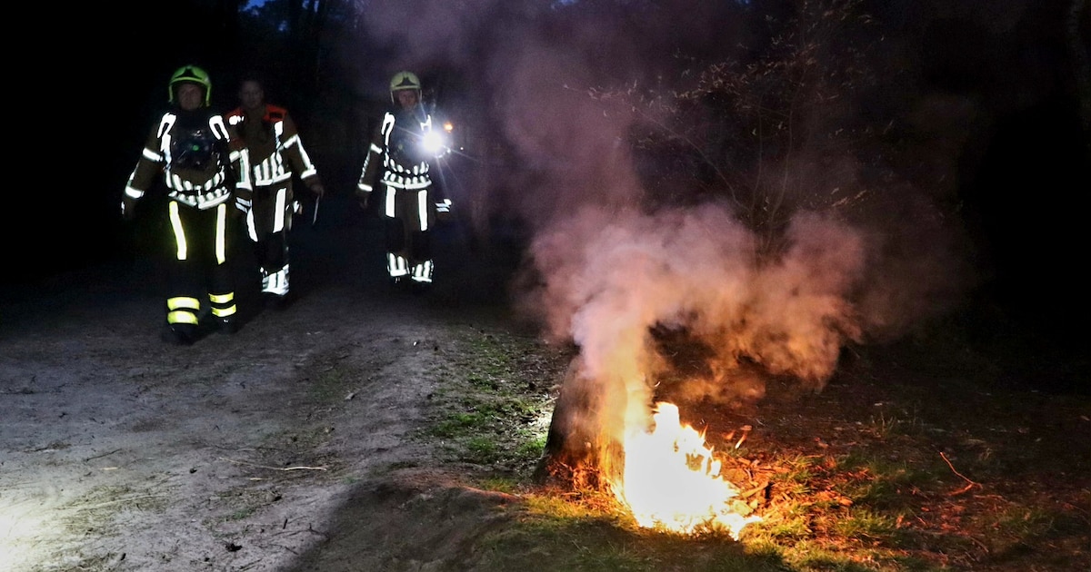 Boomstronk vliegt in brand in Loonse en Drunense Duinen