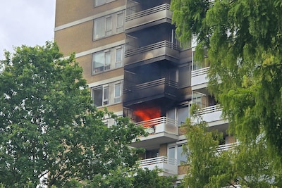 Image related to the article