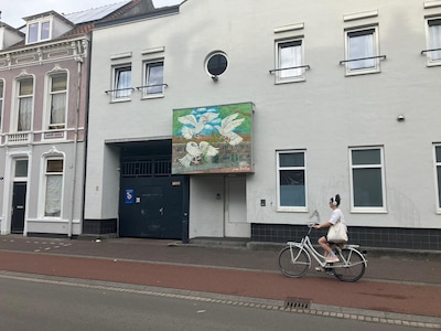 Mysterie opgelost: dit doet dit schilderij op een gebouw aan de Gasthuisring